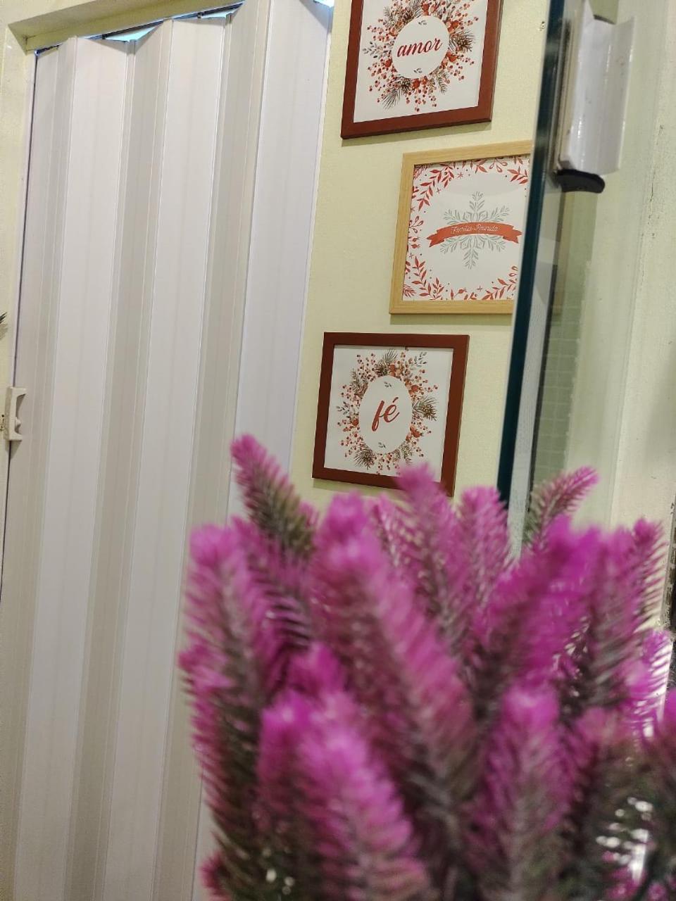 Piçarras Casa Inteira,Total Privacidade Em Area Nobre, 2 Quadra Do Marヴィラ エクステリア 写真